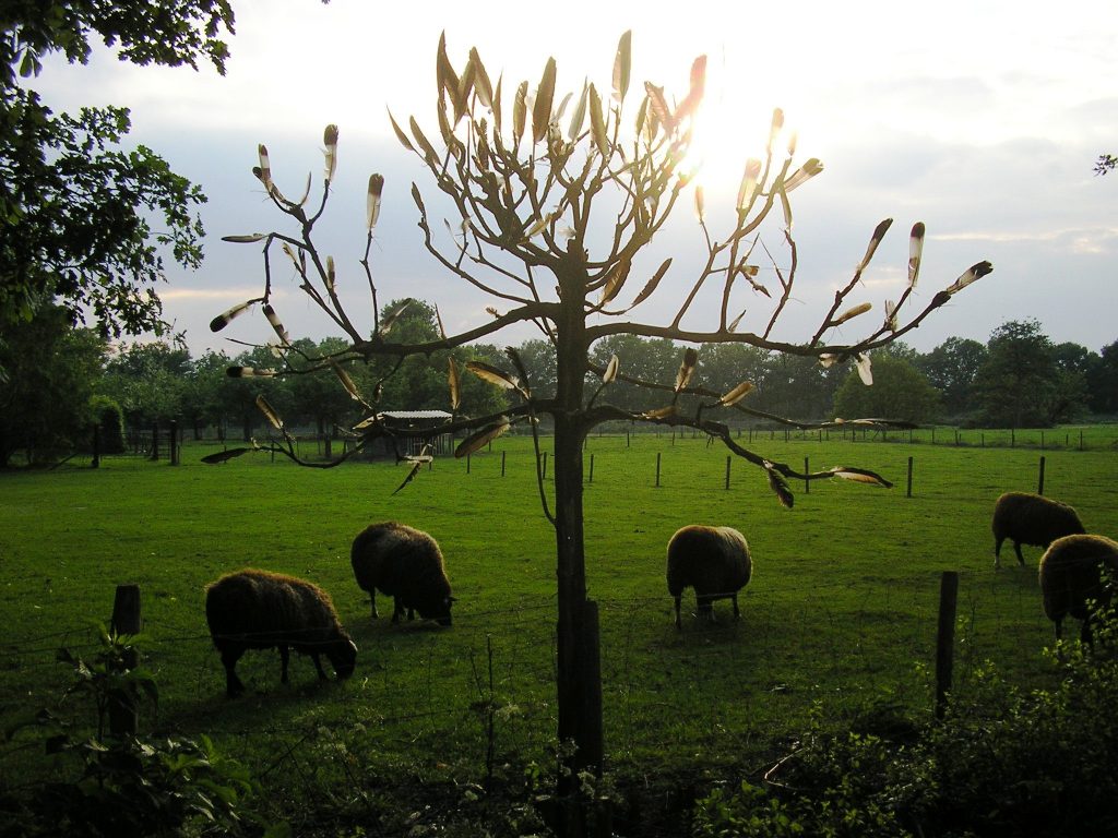 4-op-de-grens-van-novum-vita-smakt-holthees-2007